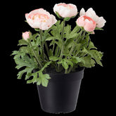 FEJKA Artificial potted plant, in/outdoor/Ranunculus pink 12 cm